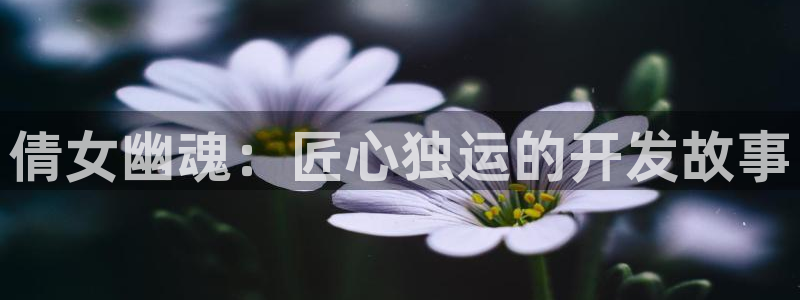 28大神怎么用不了