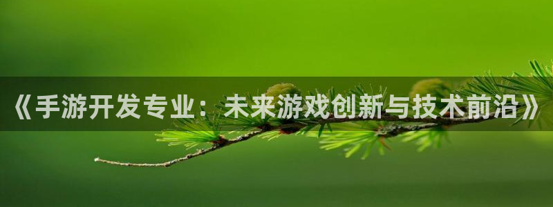 28大神怎么用不了了