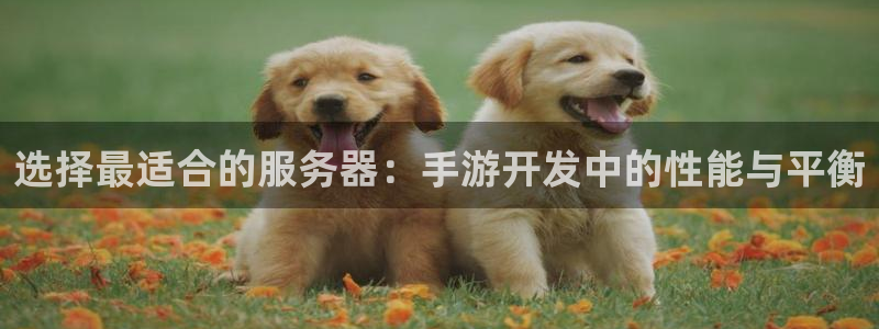 28加拿大大神下载：选择最适合的服务器：手游开发中的性能与平