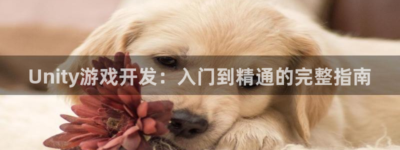 大神28手机版