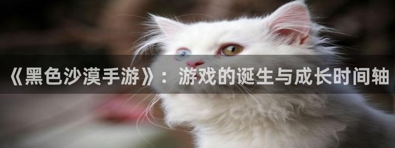 28大神苹果下载：《黑色沙漠手游》：游戏的诞生与成长时间轴
