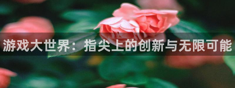 28大神怎么了：游戏大世界：指尖上的创新与无限可能