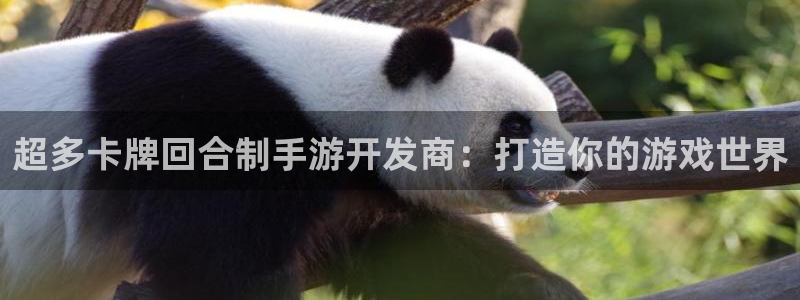 大神28加拿大在线上分：超多卡牌回合制手游开发商：打造你的游