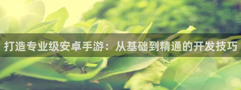 28大神ios版：打造专业级安卓手游：从基础到精通的开发技巧