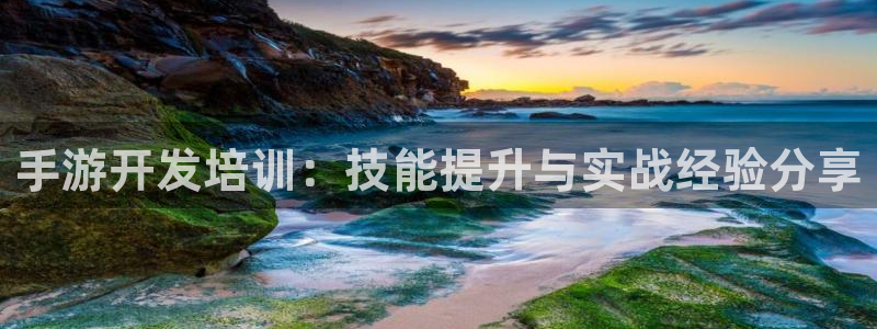 大神28官网：手游开发培训：技能提升与实战经验分享