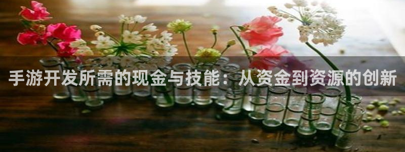 28大神开奖下载：手游开发所需的现金与技能：从资金到资源的创
