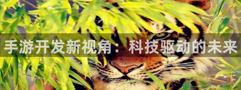 28大神老版本：手游开发新视角：科技驱动的未来