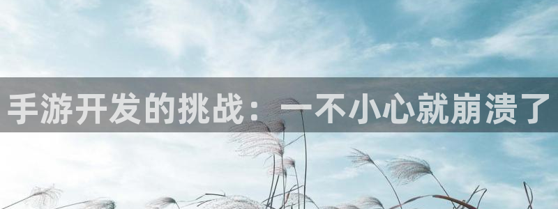 大神28app官网下载：手游开发的挑战：一不小心就崩溃了